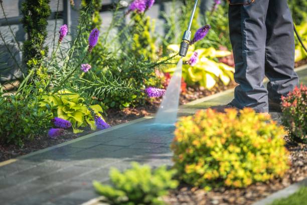 Professional Pressure Washing Services in Moweaqua, IL