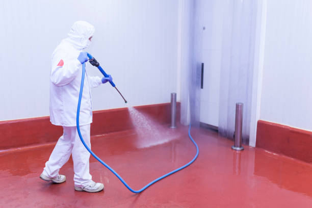 Best Roof Washing  in Moweaqua, IL