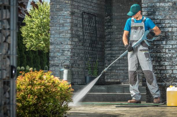 Best Solar Panel Cleaning  in Moweaqua, IL