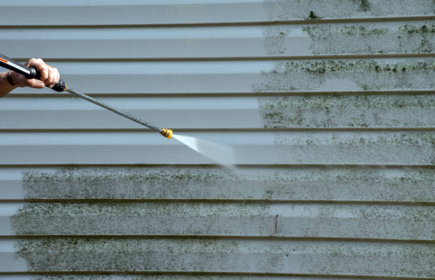 Best Building Exterior Washing  in Moweaqua, IL